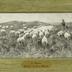 A. Mauve - Schafe in den Dünen